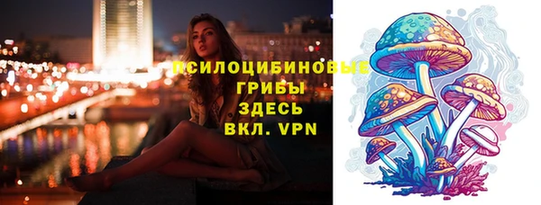 2c-b Армянск